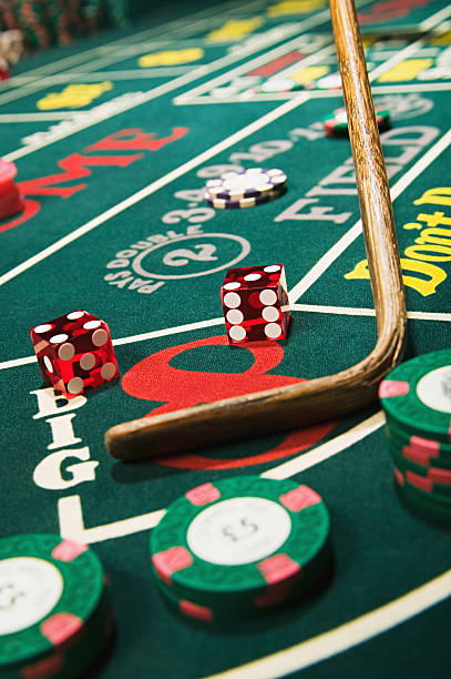 Live dealer blackjack table with multi-camera feed